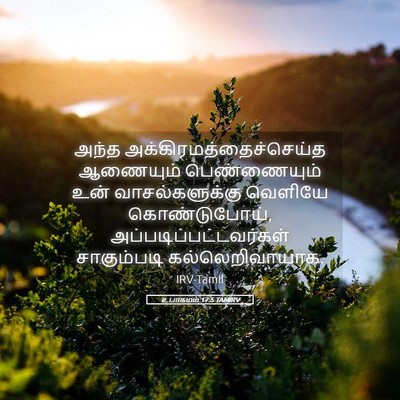 Picture 05 - உபாகமம் 17:5 TAMIRV - அந்த - Bible Verse Picture