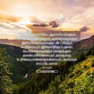Picture 05 - உபாகமம் 18:1 TAMIRV - “லேவியர்களாகிய - Bible Verse Picture