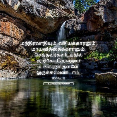 Picture 05 - உபாகமம் 18:11 TAMIRV - மந்திரவாதியும், - Bible Verse Picture
