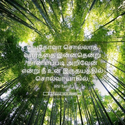 Picture 05 - உபாகமம் 18:21 TAMIRV - யெகோவா சொல்லாத - Bible Verse Picture