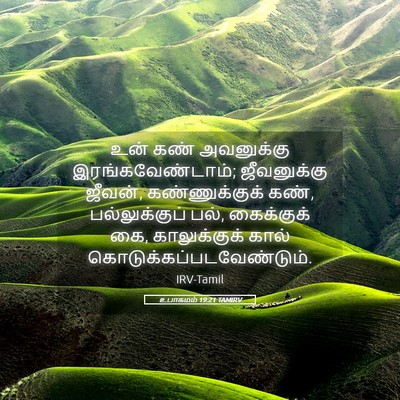 Picture 05 - உபாகமம் 19:21 TAMIRV - உன் கண் அவனுக்கு - Bible Verse Picture