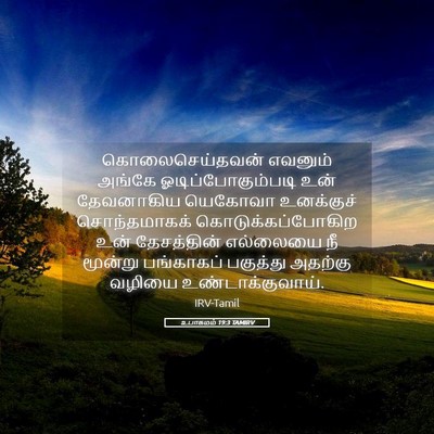 Picture 05 - உபாகமம் 19:3 TAMIRV - கொலைசெய்தவன் - Bible Verse Picture