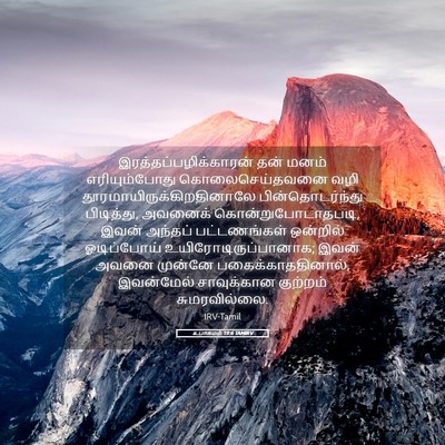 Picture 05 - உபாகமம் 19:6 TAMIRV -  - Bible Verse Picture