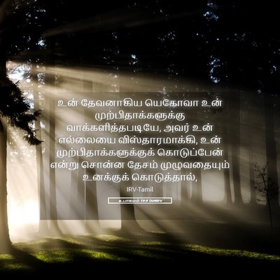 Picture 05 - உபாகமம் 19:9 TAMIRV - உன் தேவனாகிய - Bible Verse Picture