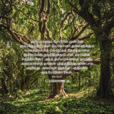 Picture 05 - உபாகமம் 2:12 TAMIRV - ஓரியர்களும் - Bible Verse Picture