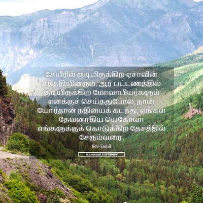 Picture 05 - உபாகமம் 2:28 TAMIRV - சேயீரில் - Bible Verse Picture