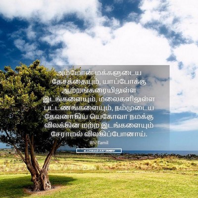 Picture 05 - உபாகமம் 2:37 TAMIRV - அம்மோன் மக்களுடைய - Bible Verse Picture