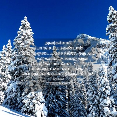 Picture 05 - உபாகமம் 2:5 TAMIRV - அவர்களோடு - Bible Verse Picture