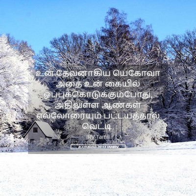Picture 05 - உபாகமம் 20:13 TAMIRV - உன் தேவனாகிய - Bible Verse Picture