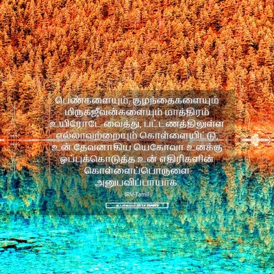 Picture 05 - உபாகமம் 20:14 TAMIRV - பெண்களையும், - Bible Verse Picture