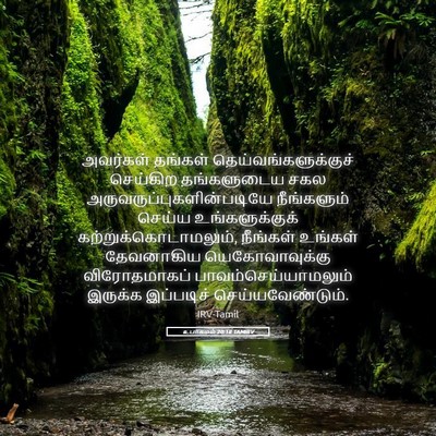 Picture 05 - உபாகமம் 20:18 TAMIRV - அவர்கள் தங்கள் - Bible Verse Picture