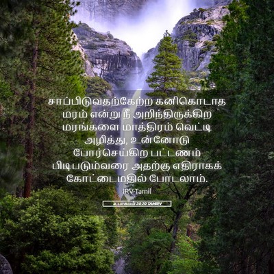 Picture 05 - உபாகமம் 20:20 TAMIRV -  - Bible Verse Picture