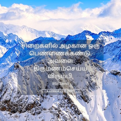 Picture 05 - உபாகமம் 21:11 TAMIRV - சிறைகளில் அழகான - Bible Verse Picture