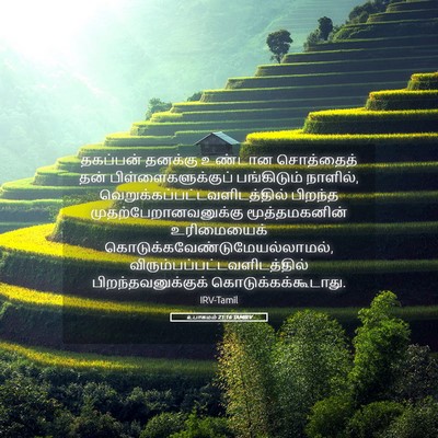 Picture 05 - உபாகமம் 21:16 TAMIRV - தகப்பன் தனக்கு - Bible Verse Picture