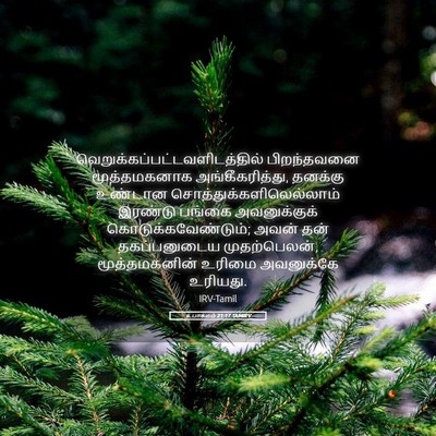 Picture 05 - உபாகமம் 21:17 TAMIRV -  - Bible Verse Picture