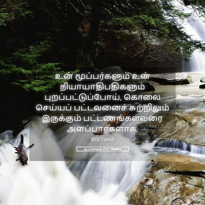 Picture 05 - உபாகமம் 21:2 TAMIRV - உன் மூப்பர்களும் - Bible Verse Picture
