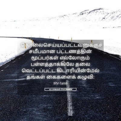 Picture 05 - உபாகமம் 21:6 TAMIRV -  - Bible Verse Picture