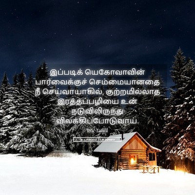 Picture 05 - உபாகமம் 21:9 TAMIRV - இப்படிக் - Bible Verse Picture