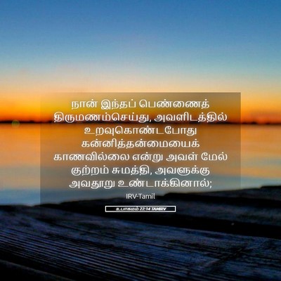 Picture 05 - உபாகமம் 22:14 TAMIRV - நான் இந்தப் - Bible Verse Picture