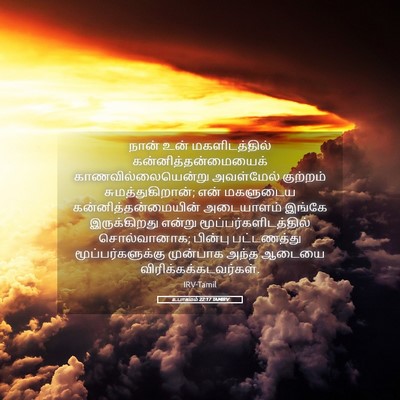 Picture 05 - உபாகமம் 22:17 TAMIRV - நான் உன் - Bible Verse Picture