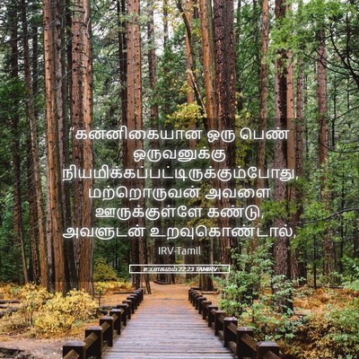 Picture 05 - உபாகமம் 22:23 TAMIRV - “கன்னிகையான ஒரு - Bible Verse Picture