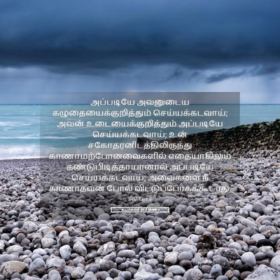 Picture 05 - உபாகமம் 22:3 TAMIRV - அப்படியே அவனுடைய - Bible Verse Picture