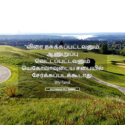 Picture 05 - உபாகமம் 23:1 TAMIRV - “விரை - Bible Verse Picture