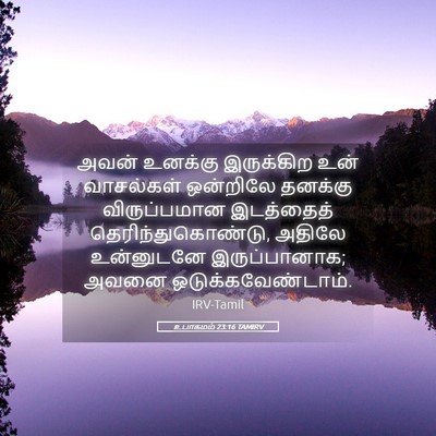 Picture 05 - உபாகமம் 23:16 TAMIRV - அவன் உனக்கு - Bible Verse Picture