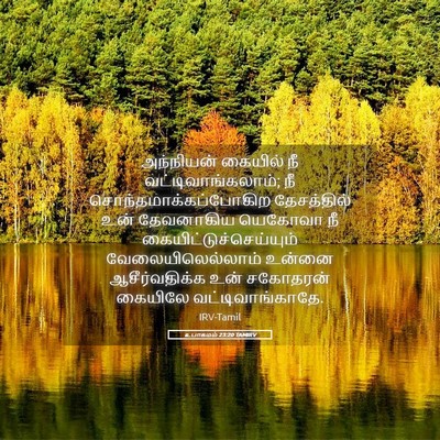 Picture 05 - உபாகமம் 23:20 TAMIRV - அந்நியன் கையில் - Bible Verse Picture