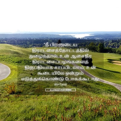 Picture 05 - உபாகமம் 23:24 TAMIRV - “நீ பிறனுடைய - Bible Verse Picture