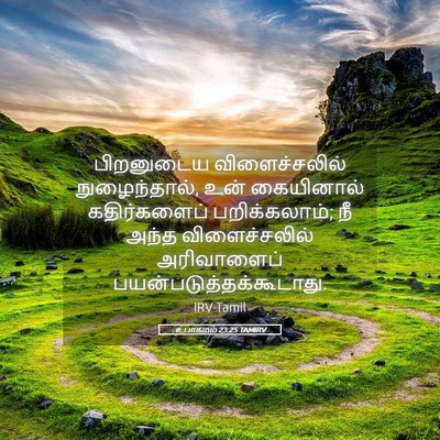 Picture 05 - உபாகமம் 23:25 TAMIRV - பிறனுடைய - Bible Verse Picture