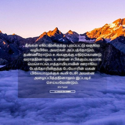 Picture 05 - உபாகமம் 23:4 TAMIRV - நீங்கள் - Bible Verse Picture
