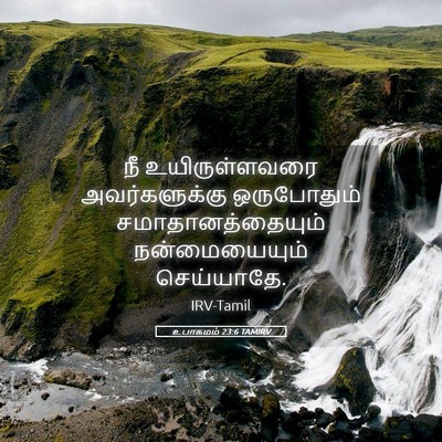 Picture 05 - உபாகமம் 23:6 TAMIRV - நீ உயிருள்ளவரை - Bible Verse Picture