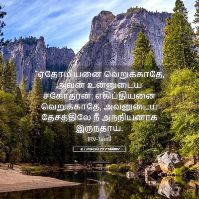 Picture 05 - உபாகமம் 23:7 TAMIRV - “ஏதோமியனை - Bible Verse Picture