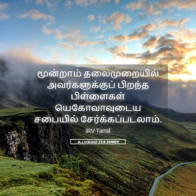 Picture 05 - உபாகமம் 23:8 TAMIRV - மூன்றாம் - Bible Verse Picture
