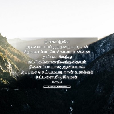 Picture 05 - உபாகமம் 24:18 TAMIRV - நீ எகிப்திலே - Bible Verse Picture