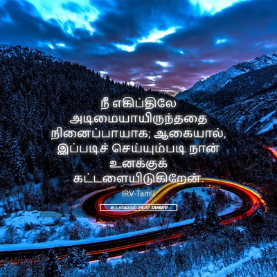 Picture 05 - உபாகமம் 24:22 TAMIRV - நீ எகிப்திலே - Bible Verse Picture