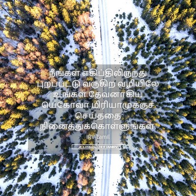 Picture 05 - உபாகமம் 24:9 TAMIRV - நீங்கள் - Bible Verse Picture