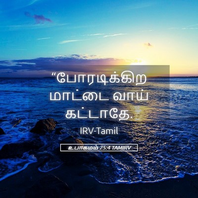 Picture 05 - உபாகமம் 25:4 TAMIRV - “போரடிக்கிற - Bible Verse Picture