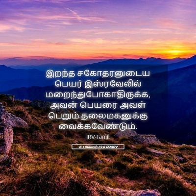 Picture 05 - உபாகமம் 25:6 TAMIRV - இறந்த சகோதரனுடைய - Bible Verse Picture