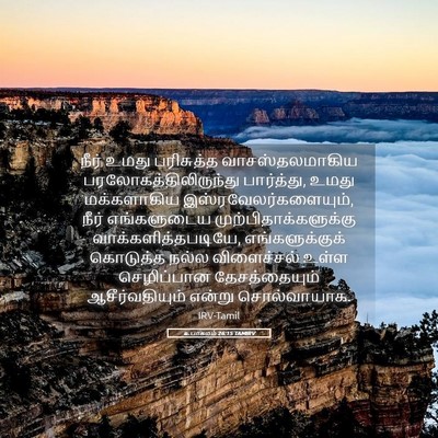Picture 05 - உபாகமம் 26:15 TAMIRV - நீர் உமது - Bible Verse Picture