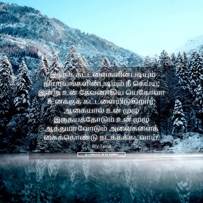 Picture 05 - உபாகமம் 26:16 TAMIRV - “இந்தக் - Bible Verse Picture