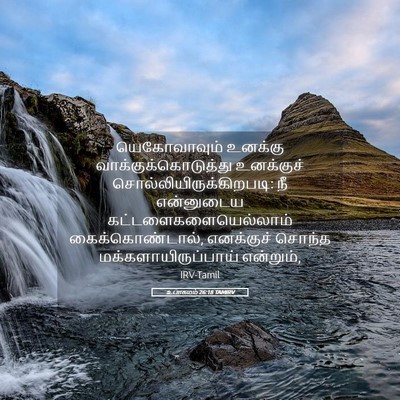 Picture 05 - உபாகமம் 26:18 TAMIRV - யெகோவாவும் உனக்கு - Bible Verse Picture