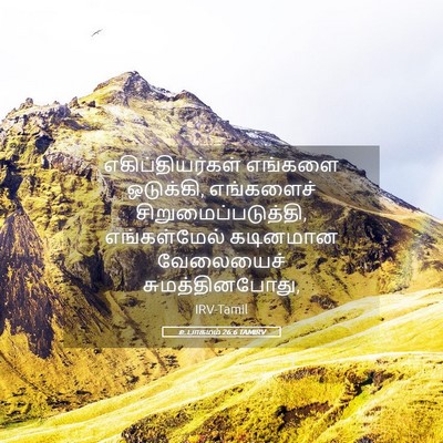 Picture 05 - உபாகமம் 26:6 TAMIRV - எகிப்தியர்கள் - Bible Verse Picture