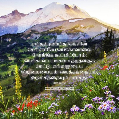 Picture 05 - உபாகமம் 26:7 TAMIRV - எங்கள் - Bible Verse Picture