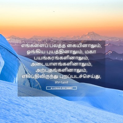 Picture 05 - உபாகமம் 26:8 TAMIRV - எங்களைப் பலத்த - Bible Verse Picture