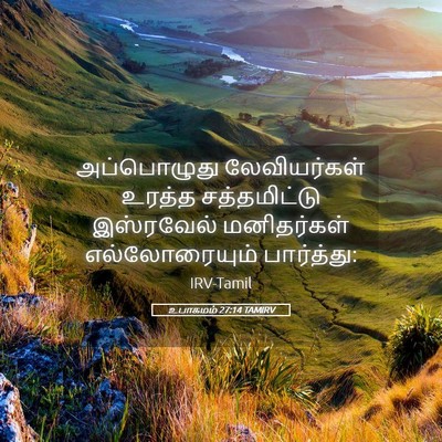Picture 05 - உபாகமம் 27:14 TAMIRV - அப்பொழுது - Bible Verse Picture