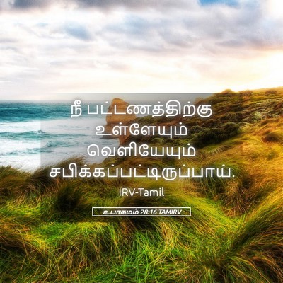 Picture 05 - உபாகமம் 28:16 TAMIRV - நீ பட்டணத்திற்கு - Bible Verse Picture