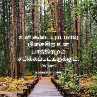 Picture 05 - உபாகமம் 28:17 TAMIRV - உன் கூடையும், மாவு - Bible Verse Picture