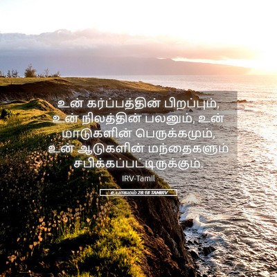 Picture 05 - உபாகமம் 28:18 TAMIRV - உன் கர்ப்பத்தின் - Bible Verse Picture